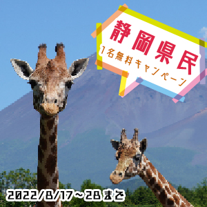 記事「静岡県民《1名無料》キャンペーン（8月17日～28日）」の画像