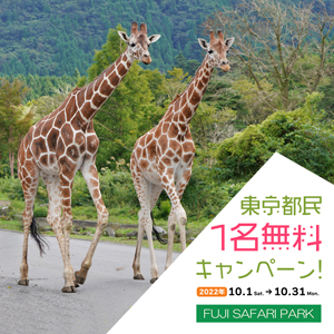 記事「東京都民《1名無料》キャンペーン（10月1日～31日）」の画像