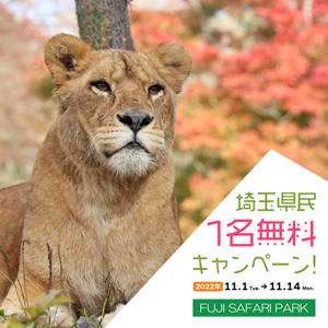 記事「埼玉県民《1名無料》キャンペーン（11月1日～14日）」の画像