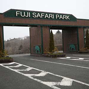 記事「園内、および周辺の道路状況（11月27日現在）」の画像