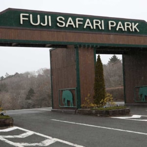 記事「園内、および周辺の道路状況（11月29日現在）」の画像