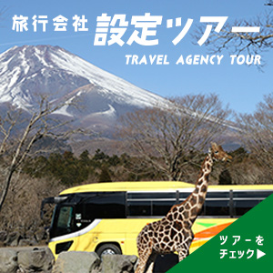 旅行会社設定ツアー