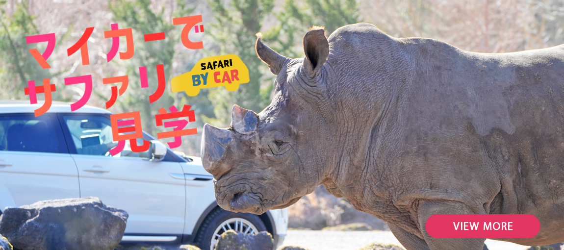 メインイメージ