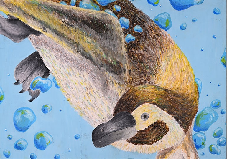 泳ぐペンギン