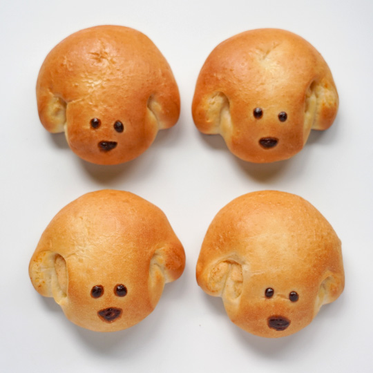 たれ耳わんこの明太ポテトパン