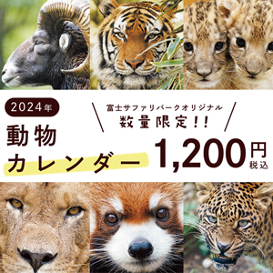 記事「オリジナル動物カレンダー・限定販売！」の画像