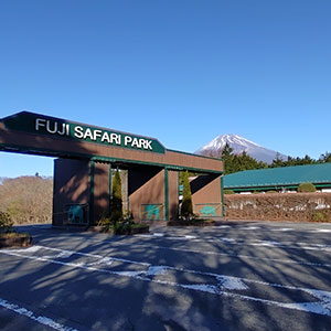 記事「園内、および周辺の道路状況(12月9日現在)」の画像