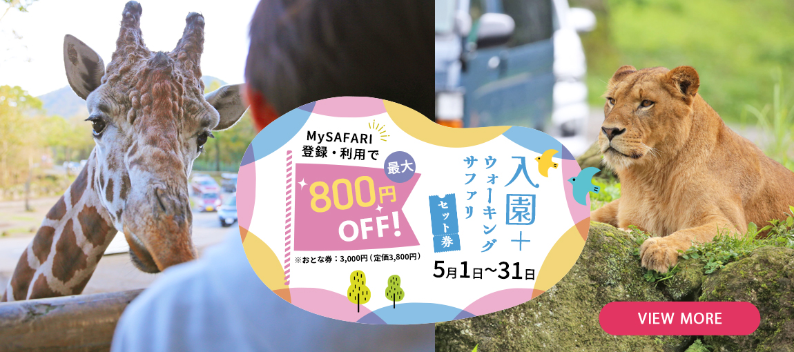 メインイメージ