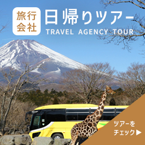 旅行会社設定ツアー