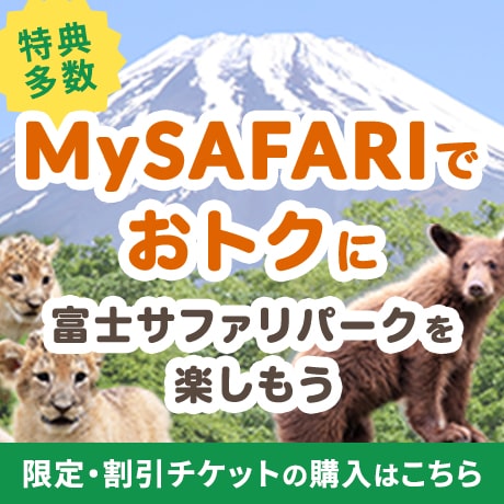 My SAFARI登録