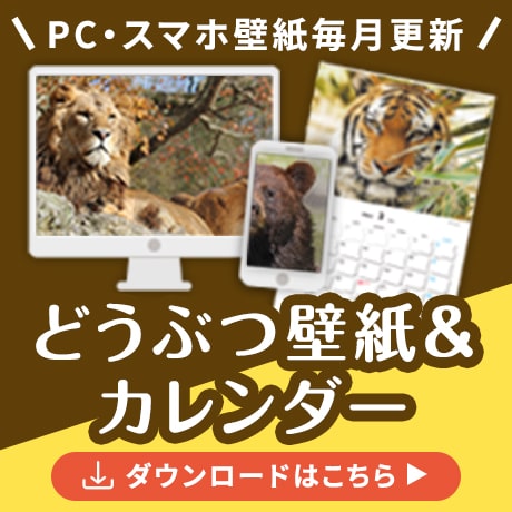 どうぶつ壁紙&カレンダー