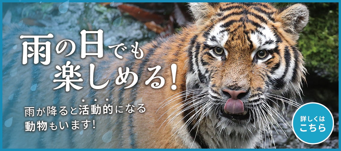 メインイメージ