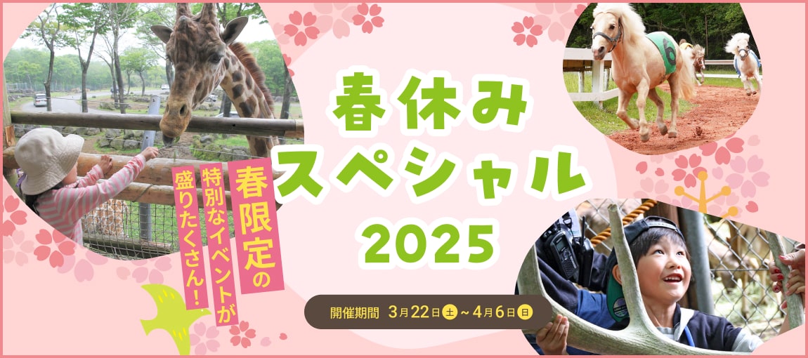 メインイメージ