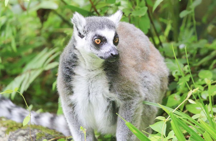 Gallery and Movie メインイメージ