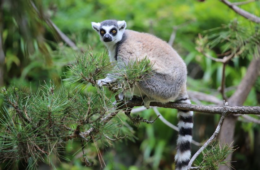 Gallery and Movie メインイメージ