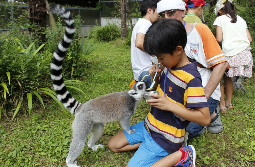 Gallery and Movie メインイメージ