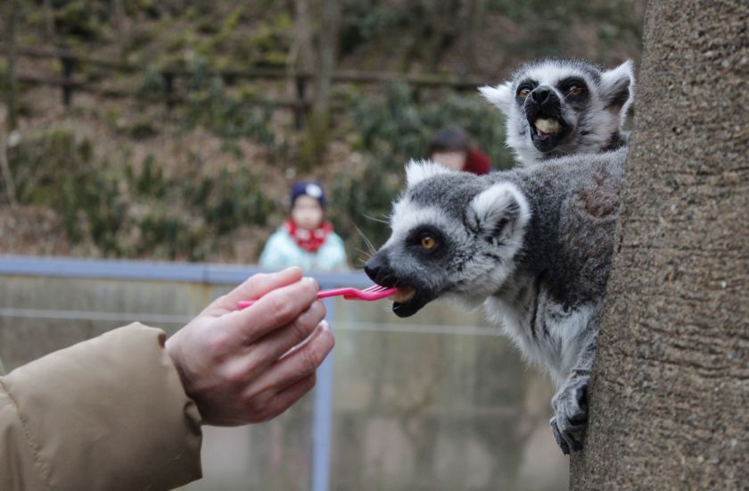 Gallery and Movie メインイメージ