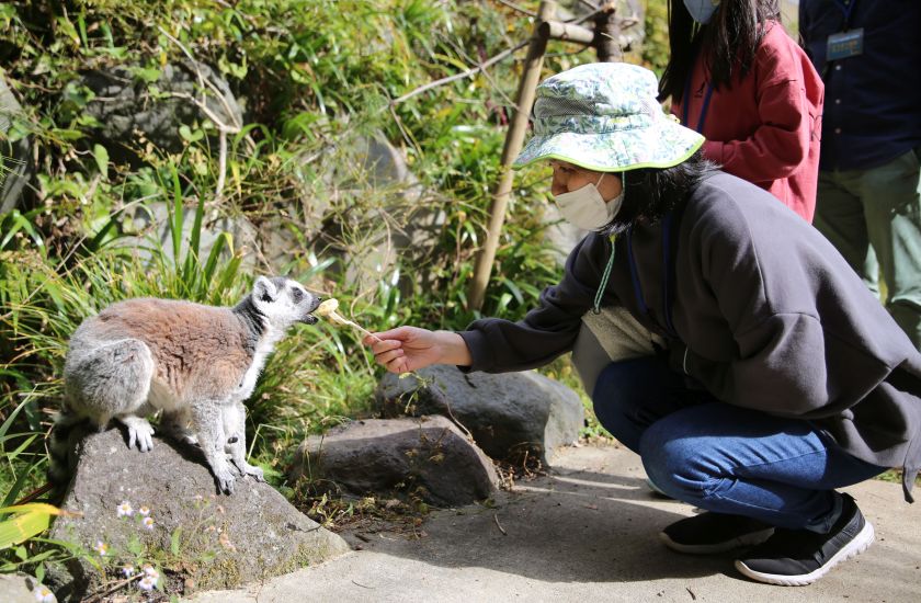 Gallery and Movie メインイメージ