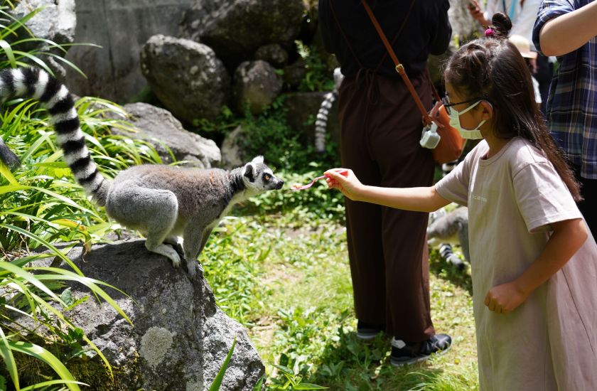 Gallery and Movie メインイメージ