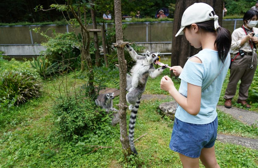 Gallery and Movie メインイメージ