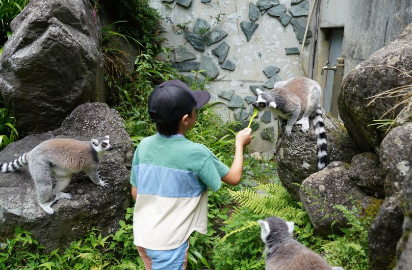 Gallery and Movie メインイメージ