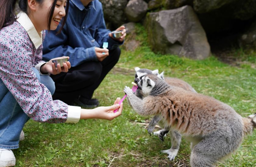 Gallery and Movie メインイメージ