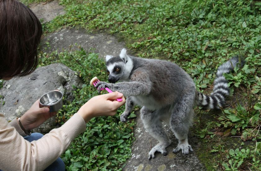 Gallery and Movie メインイメージ