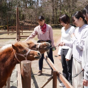 記事「ふれあいゾーン・「飼育の日」特別ガイドツアー開催！（4月14日から）」の画像