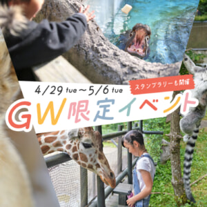 記事「GW特別イベント2025開催！！（5月6日まで）」の画像