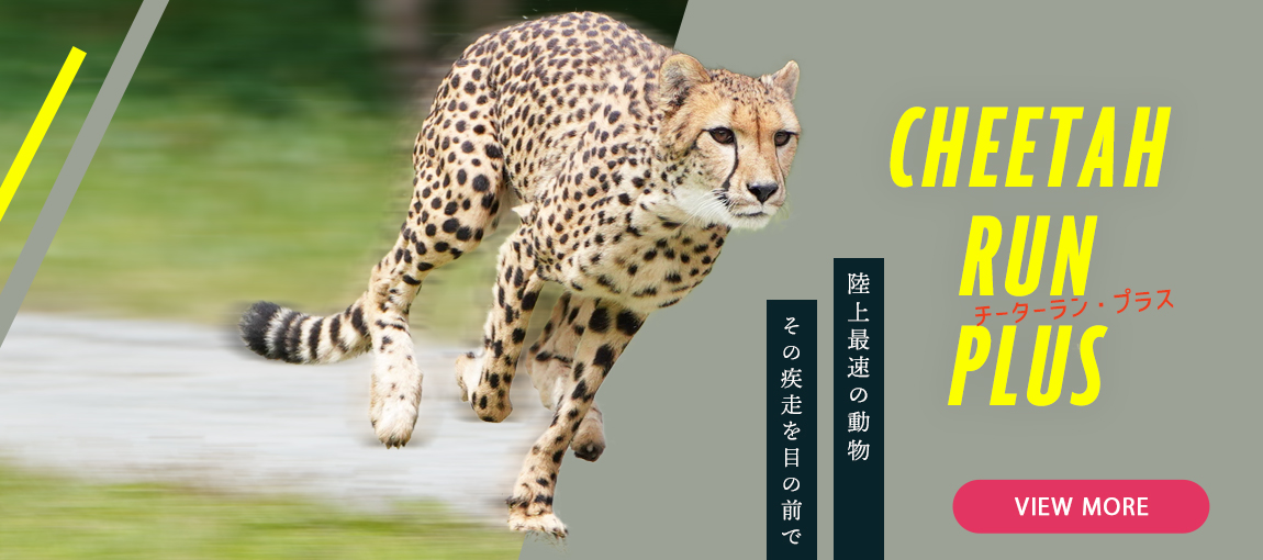 メインイメージ