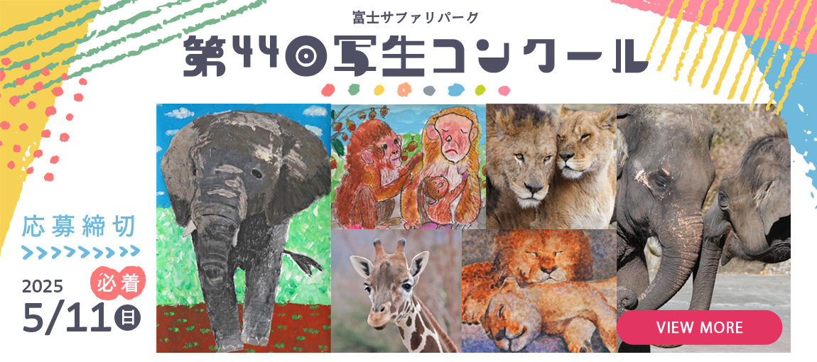 メインイメージ