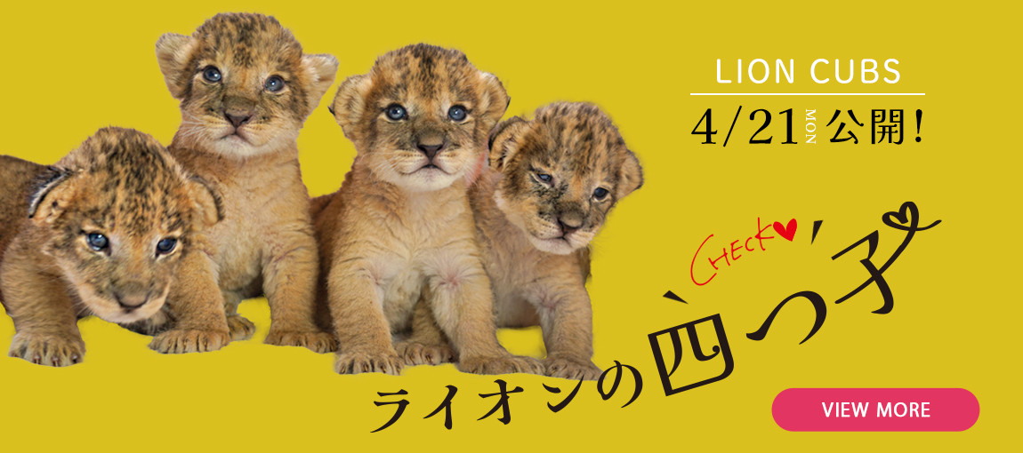 メインイメージ