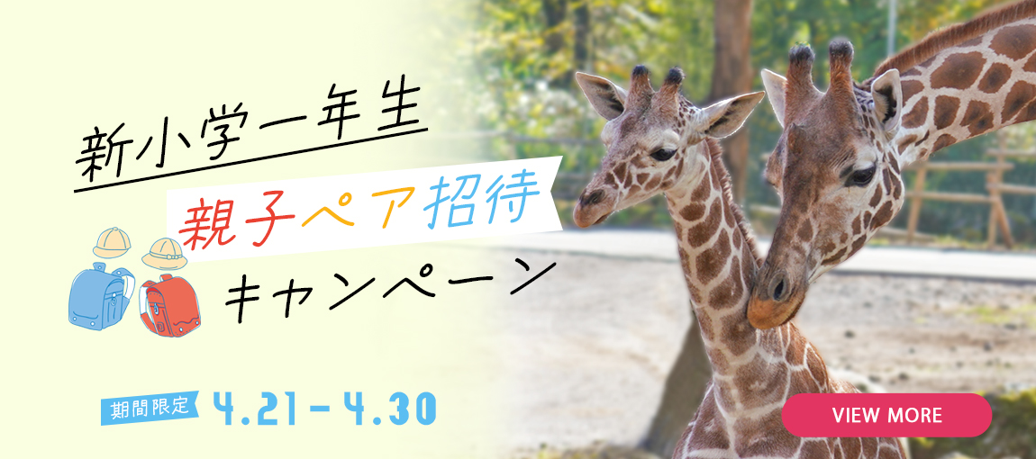 メインイメージ
