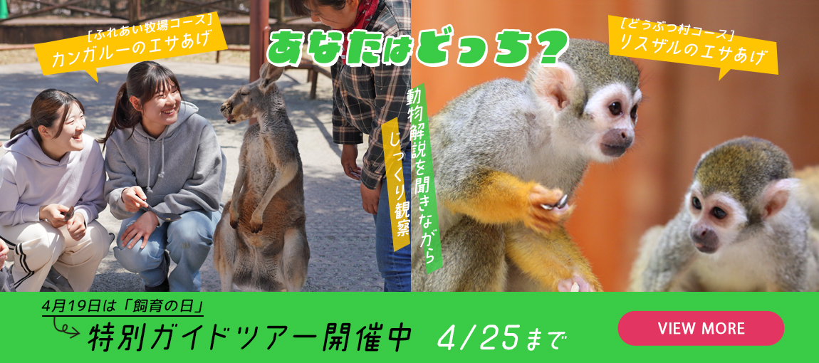 メインイメージ