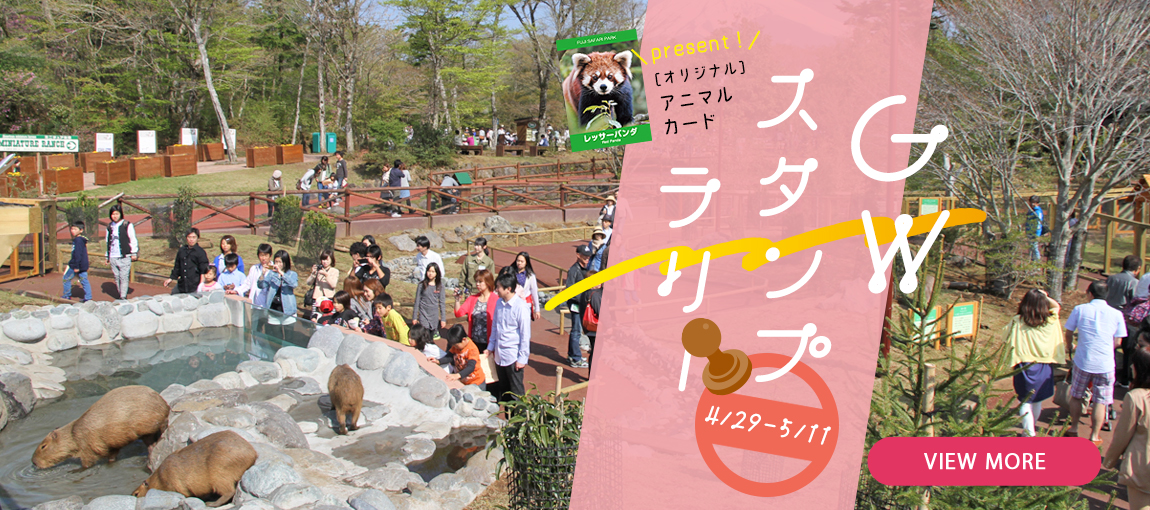 メインイメージ