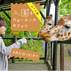 記事「「入園＋ウォーキング」のお得なプラン！（6月1日～8月31日）」の画像