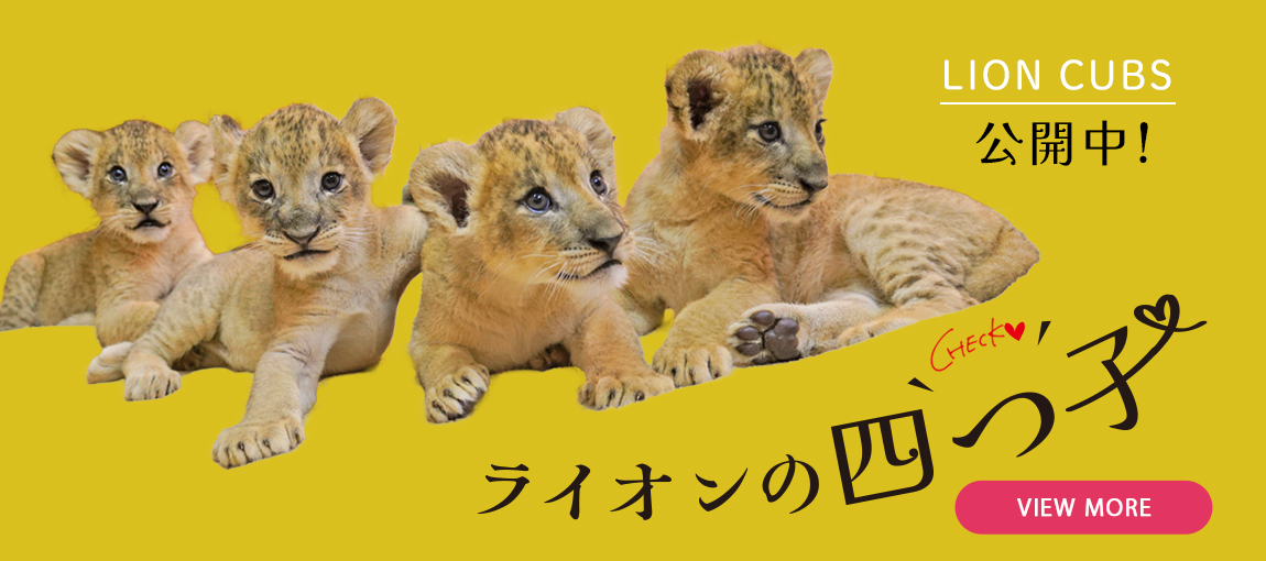 メインイメージ