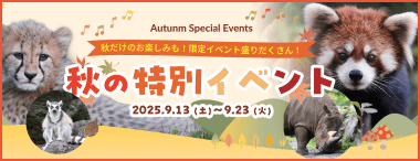 秋の特別イベント
