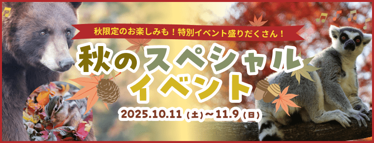秋のスペシャルイベント