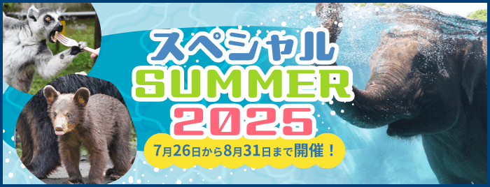 スペシャルサマー2025