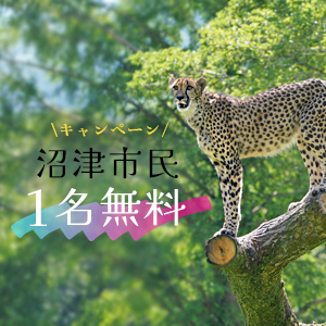 記事「沼津市民《1名無料》キャンペーン（7月1日～13日）」の画像