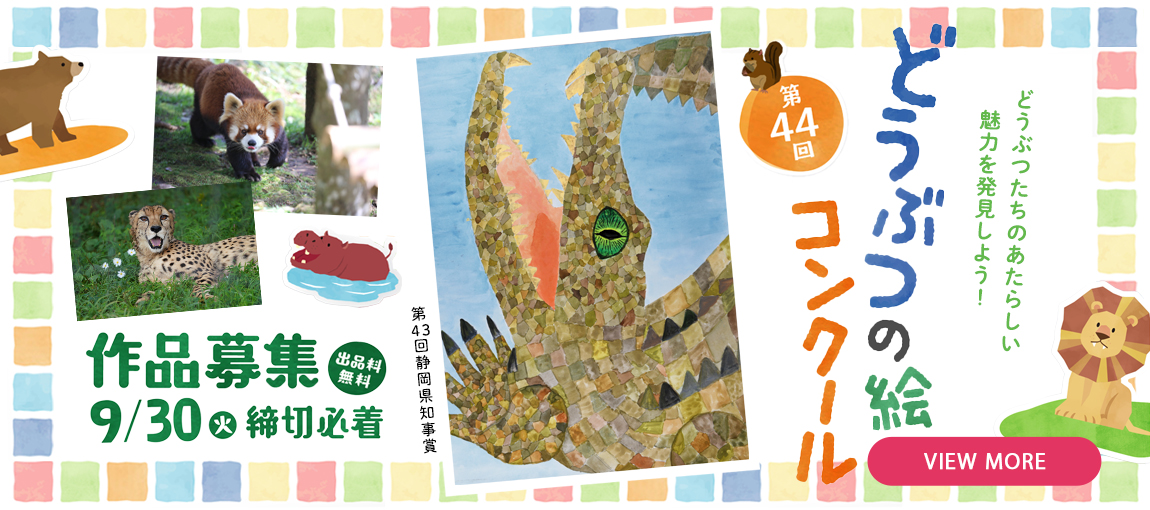メインイメージ
