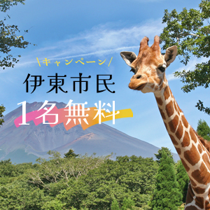 記事「伊東市民《1名無料》キャンペーン（8月1日～10日）」の画像