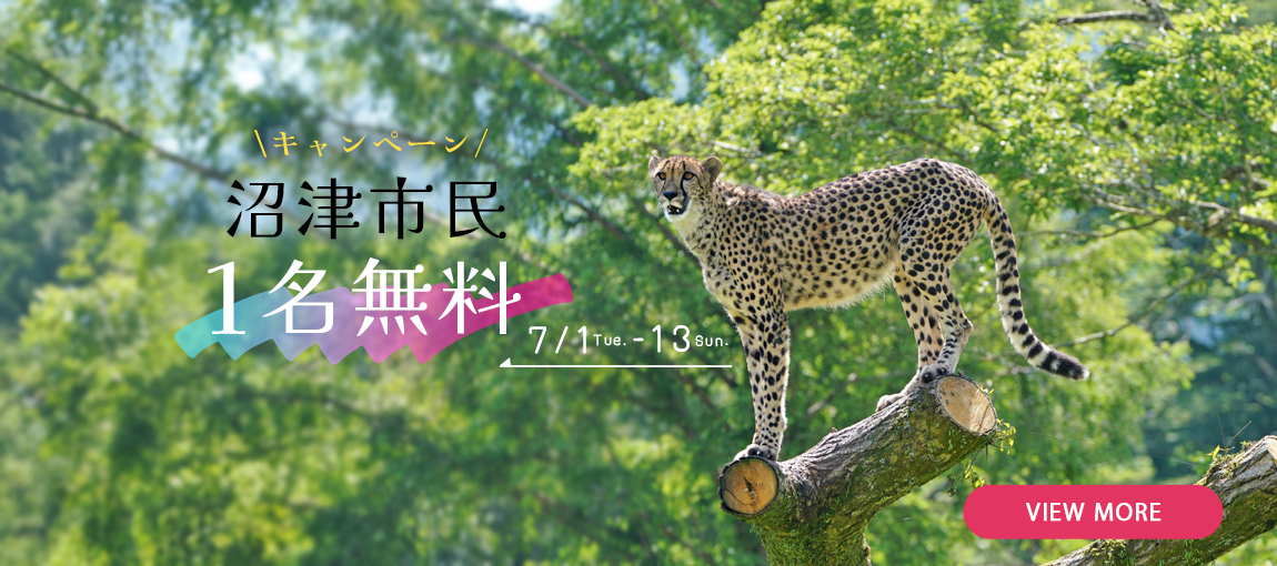 メインイメージ