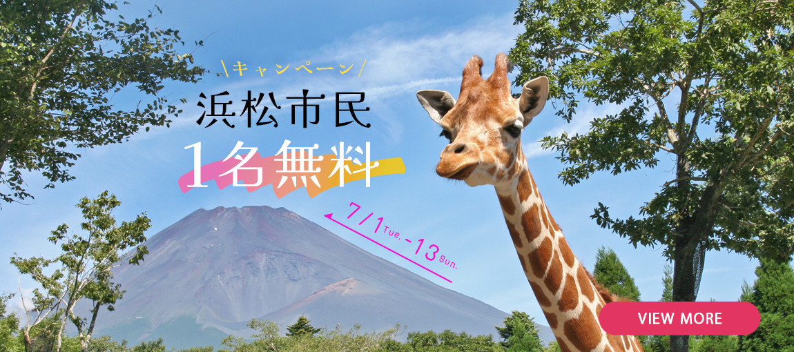 メインイメージ