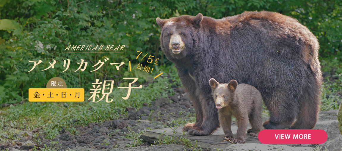 メインイメージ