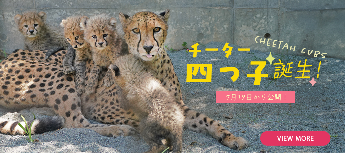 メインイメージ