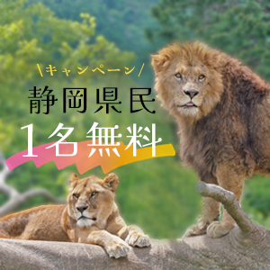 記事「静岡県民《1名無料》キャンペーン（8月21日～24日）」の画像