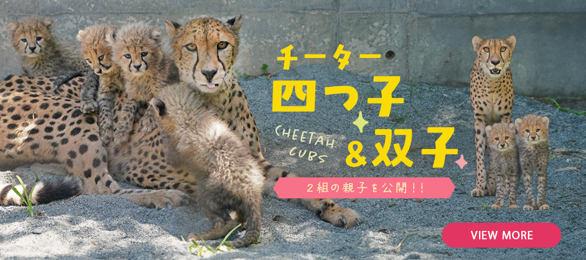 メインイメージ