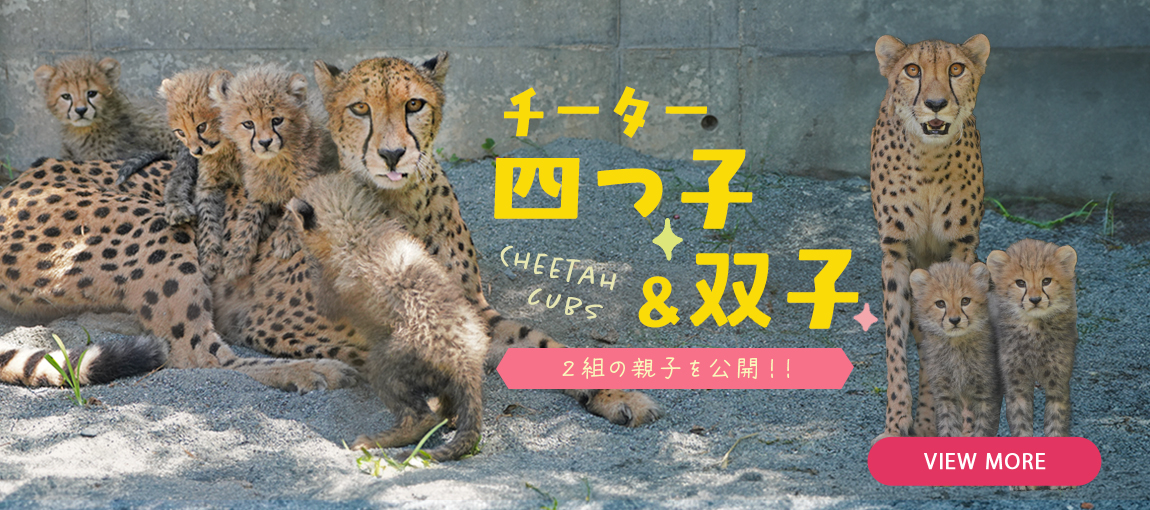 メインイメージ